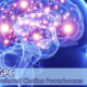 PPC and GPC Choline Source