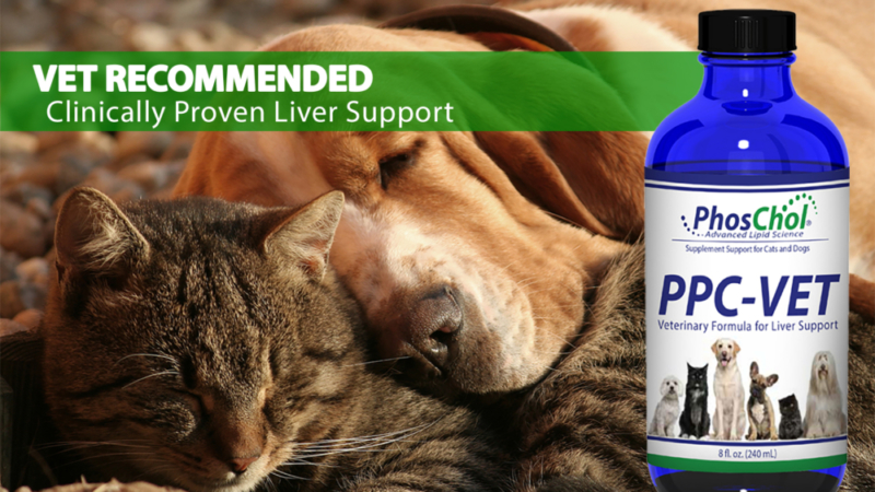 Purified PC for Your Pets Good Health