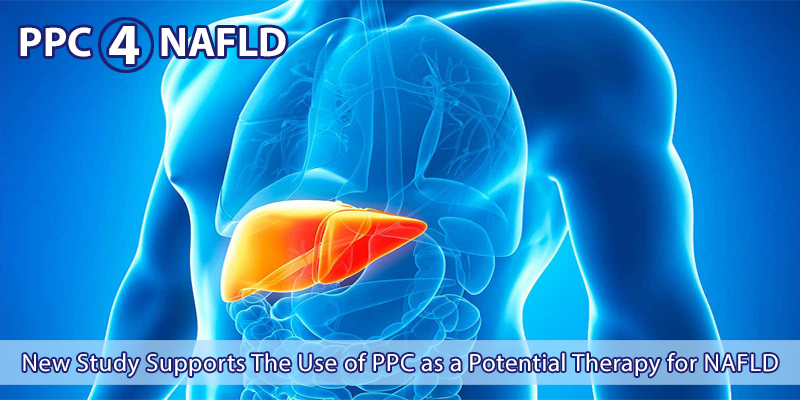 Phosphatidylcholine PPC a Potential Therapy for NAFLD