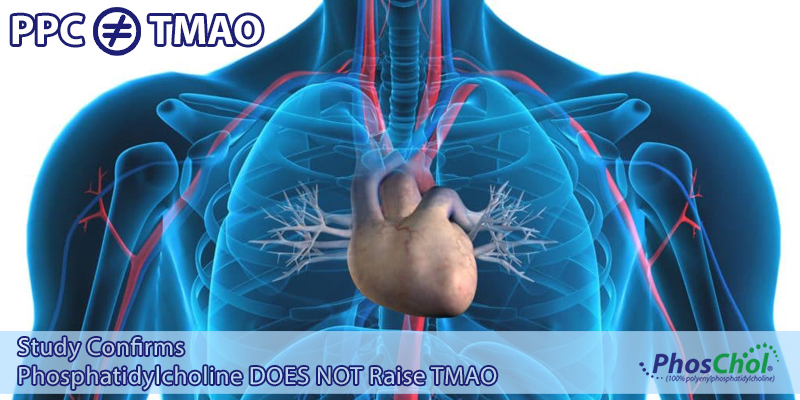 phosphatidylcholine supplements do not raise TMAO