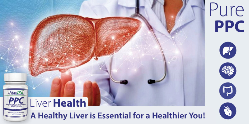PPC for Liver Health